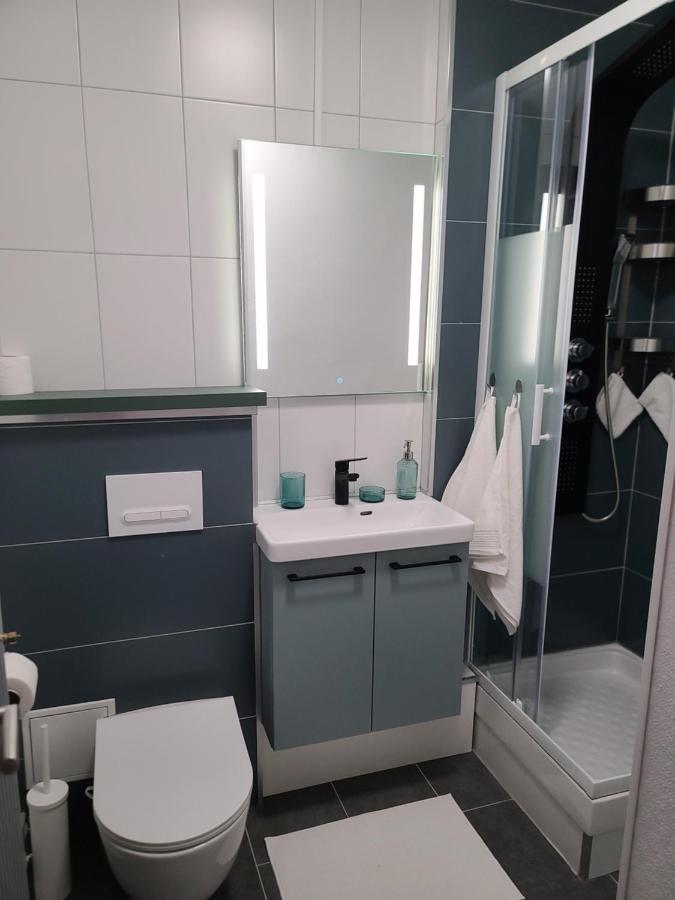 Magnifique Studio 26M2 Belfort Kültér fotó