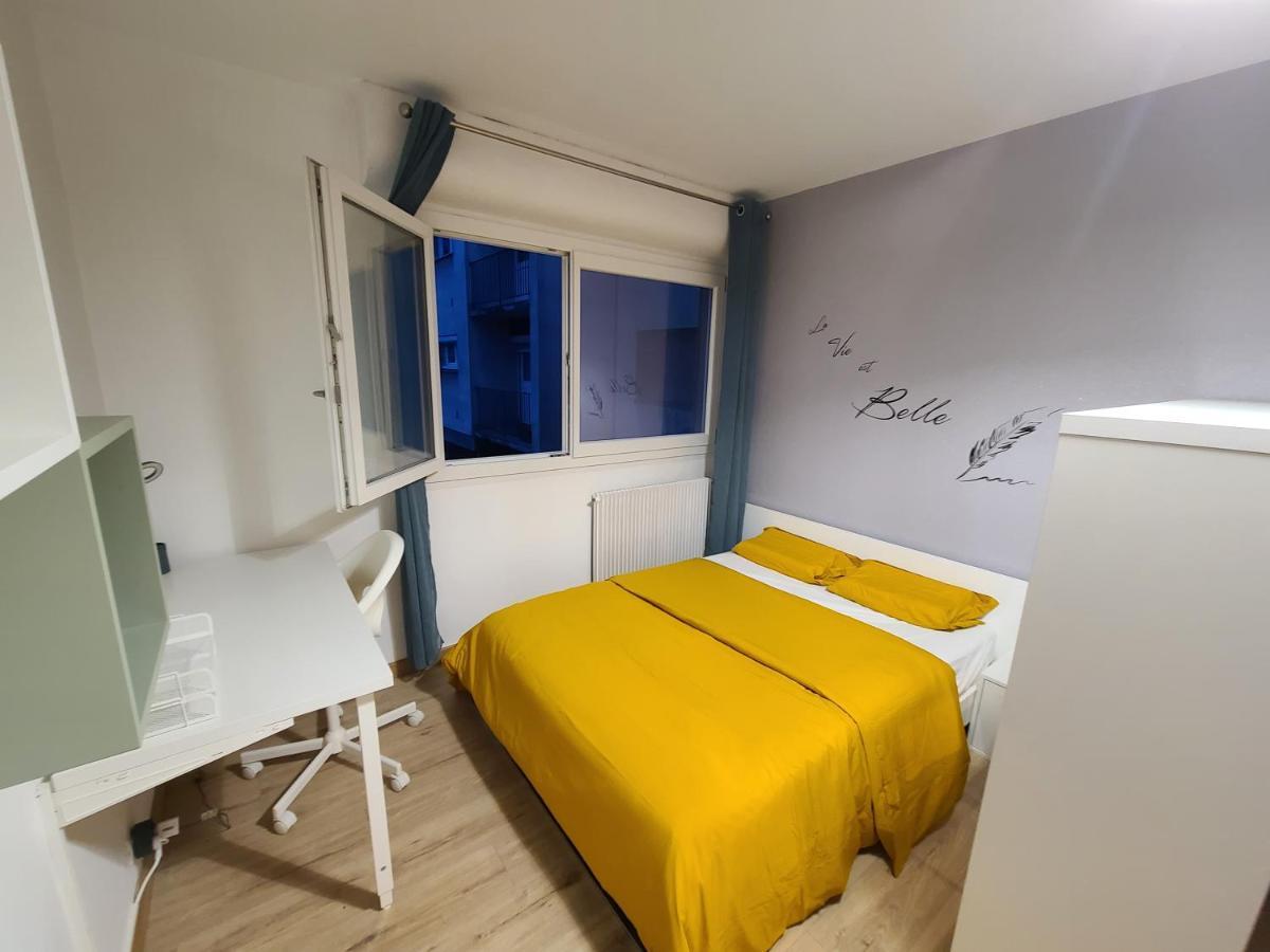 Magnifique Studio 26M2 Belfort Kültér fotó