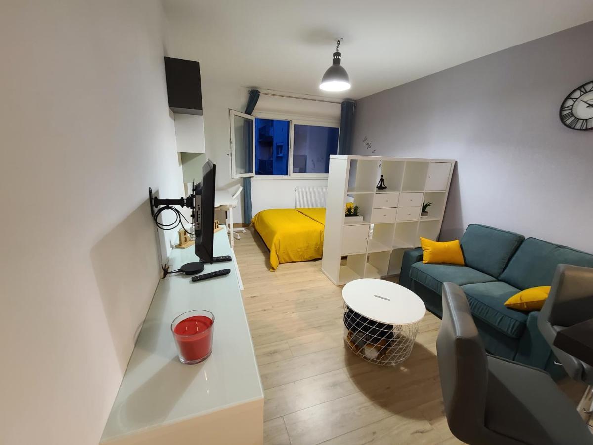 Magnifique Studio 26M2 Belfort Kültér fotó