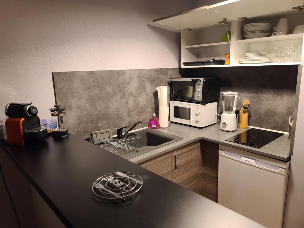 Magnifique Studio 26M2 Belfort Kültér fotó