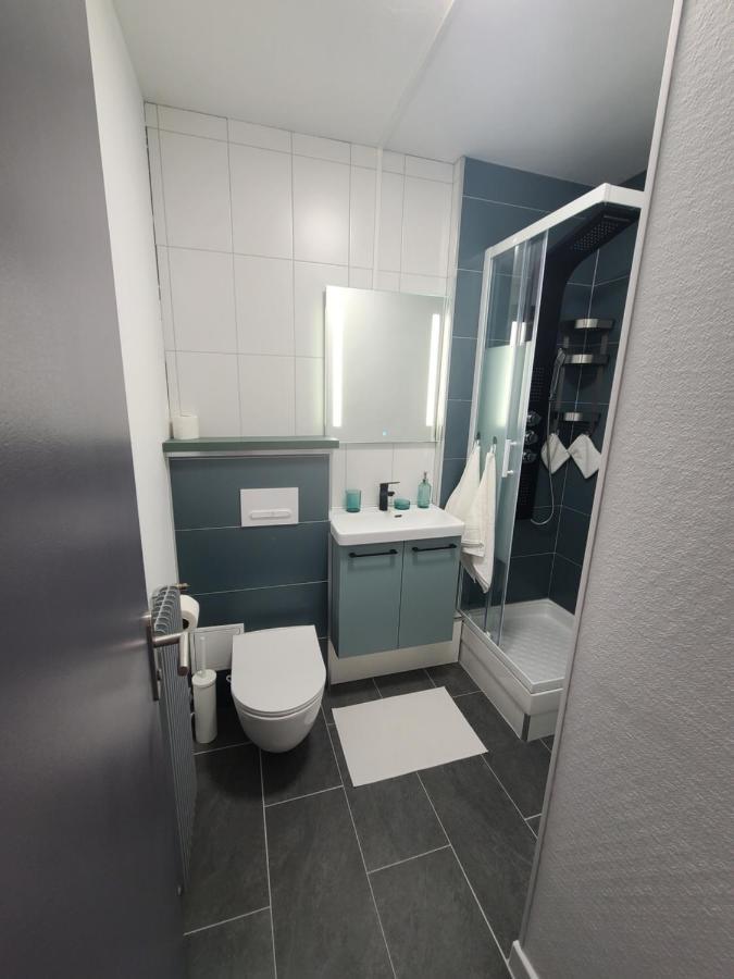 Magnifique Studio 26M2 Belfort Kültér fotó